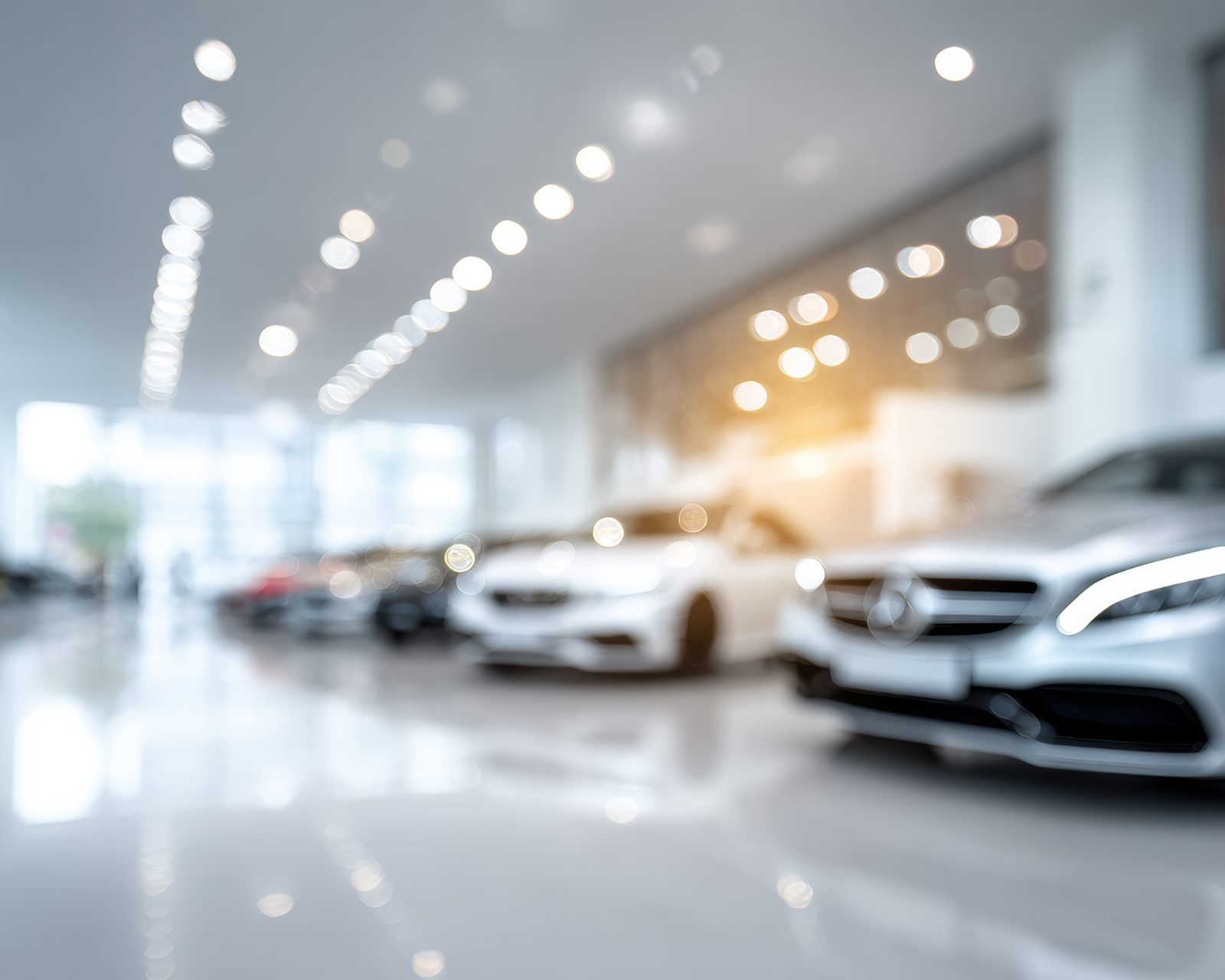Showroom met auto's van een autobedrijf